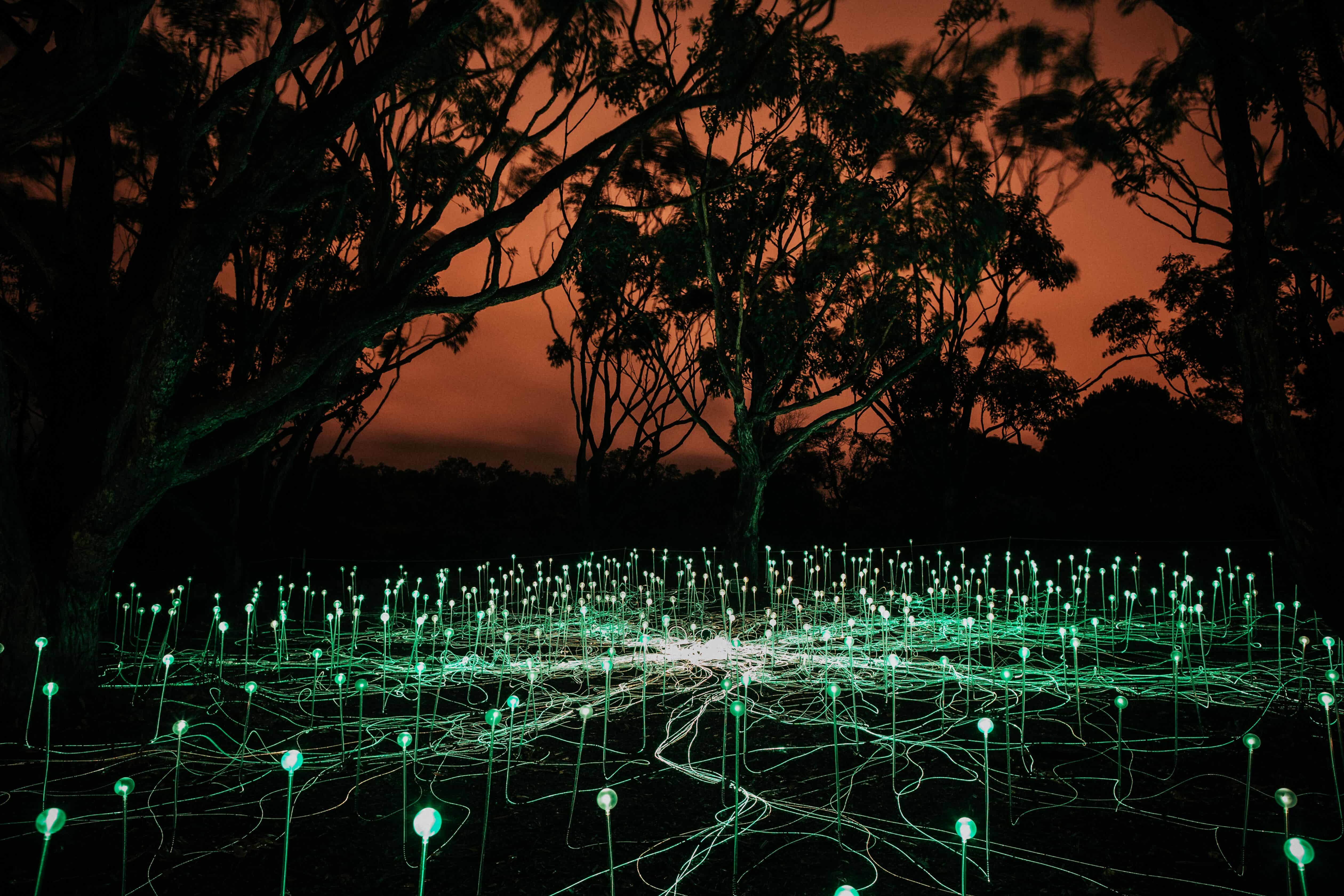 Night shot of memorial near the Albany Anzac Centre