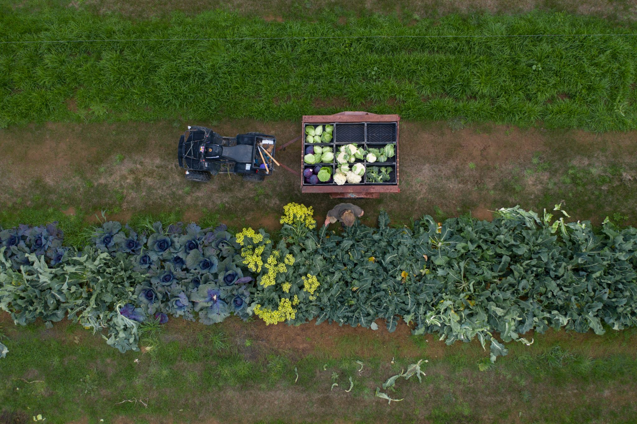 Meet the maker Cooper of Tiller Dining