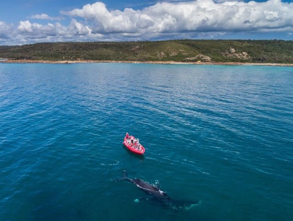 Jet Adventures in Geographe Bay