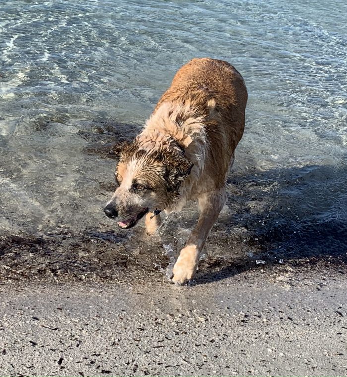 Taylor loves the flat stretches of sand in Busselton