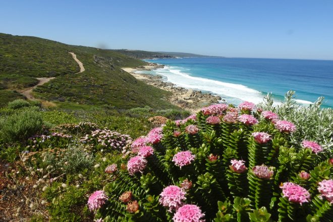 Kambarang in WA’s South West